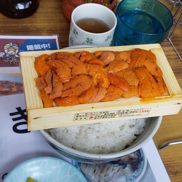 うに丼・マルトマ食堂