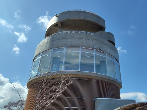 ④ウトナイ湖散策：野鳥の聖域。運が良ければシマエナガに出会える！