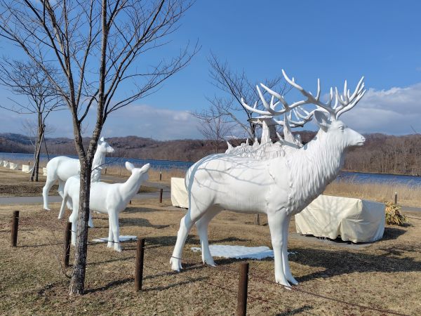 ⑥ウポポイ民族共生象徴空間：アイヌ民族の文化や歴史が知れる。ゴールデンカムイに触れてから訪れるのがおすすめ