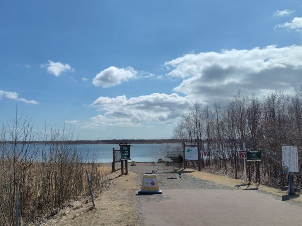 ④ウトナイ湖散策：野鳥の聖域。運が良ければシマエナガに出会える！