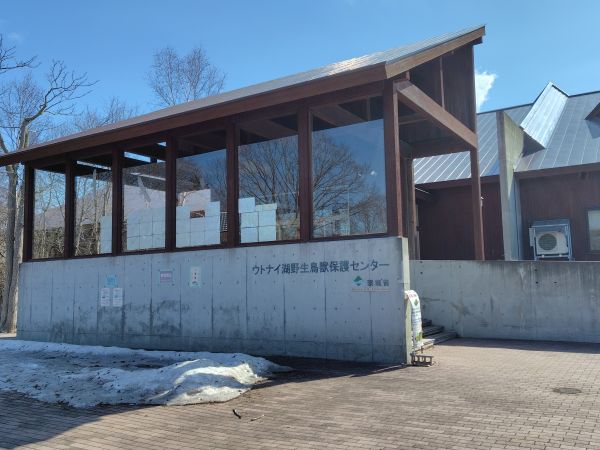 ③ウトナイ湖野生鳥獣保護センター：野鳥・ヒグマなどの迫力のある剥製が見学できる