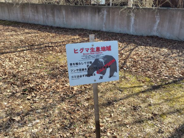 ④ウトナイ湖散策：野鳥の聖域。運が良ければシマエナガに出会える！