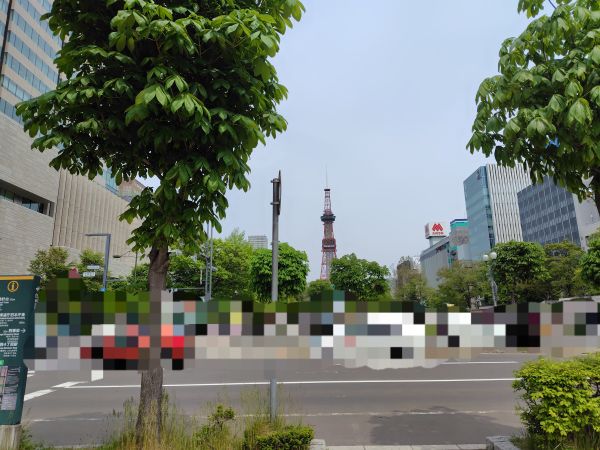 おまけ:ラーメンショーのついでに立ち寄った2026ライラックまつりの様子(毎年恒例)