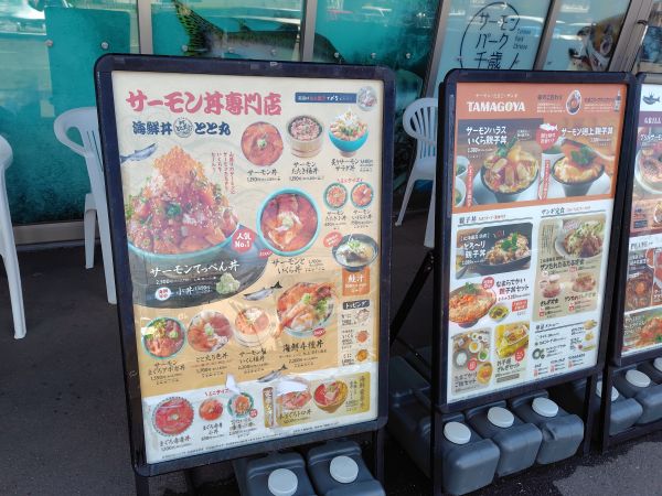 海鮮丼とと丸のサーモンてっぺん丼は脂が乗っていて美味しかった!