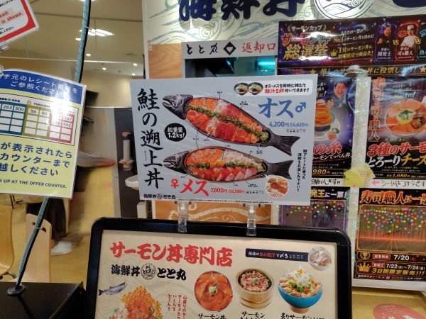 海鮮丼とと丸のサーモンてっぺん丼は脂が乗っていて美味しかった!